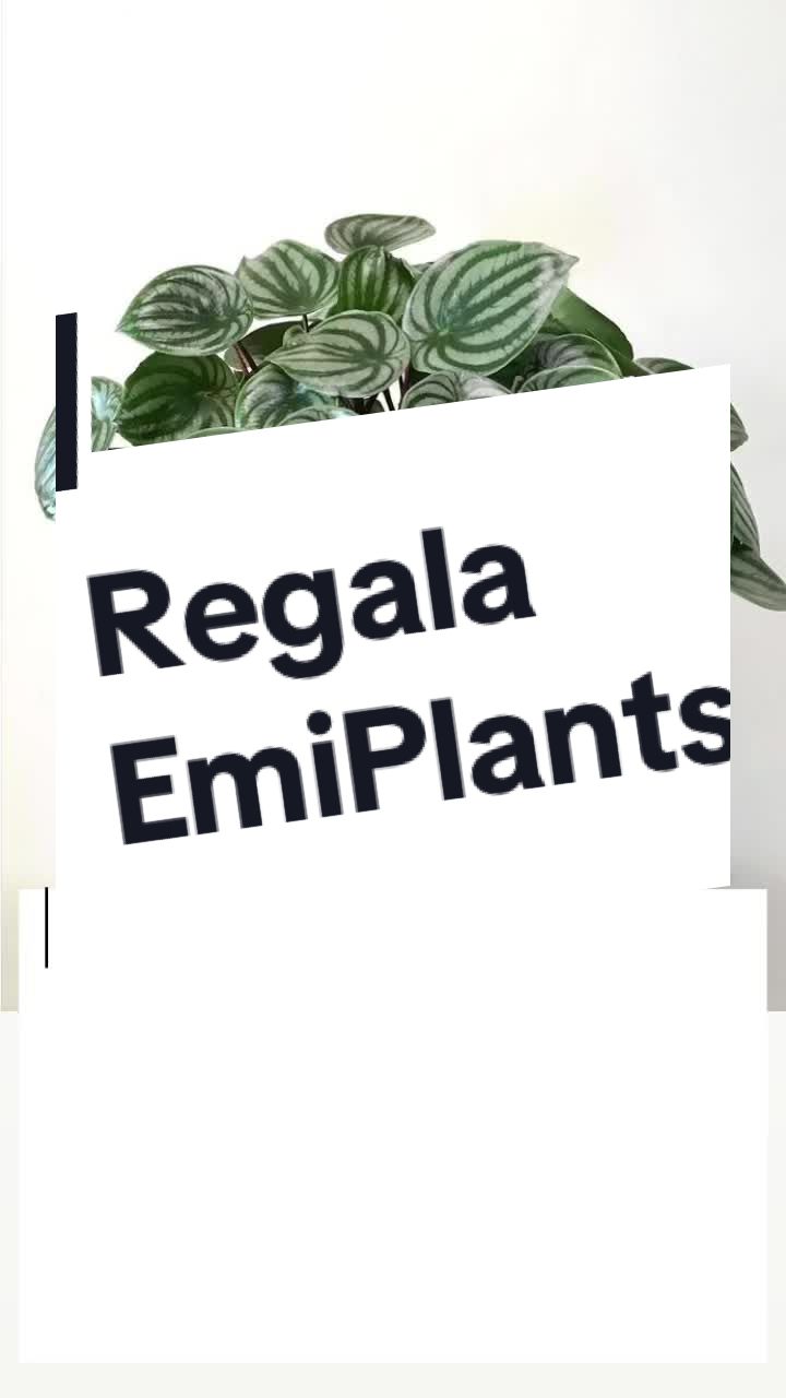 @EmiPlantsCr