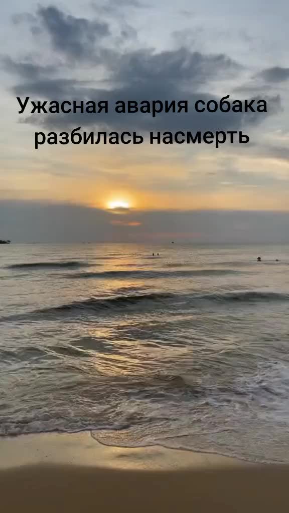 @n1 alpha_rx