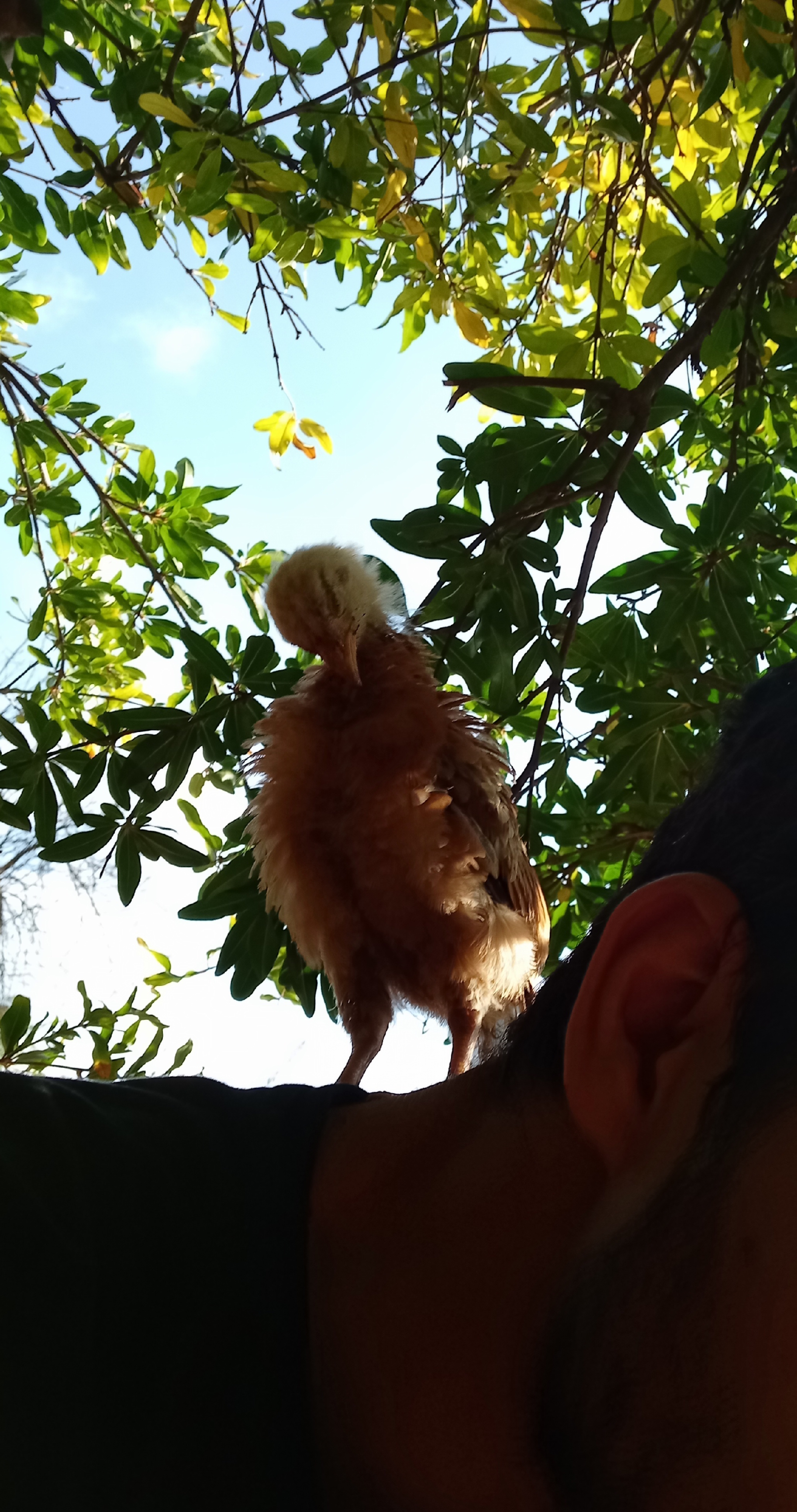 @BiyoM&uuml;hendis