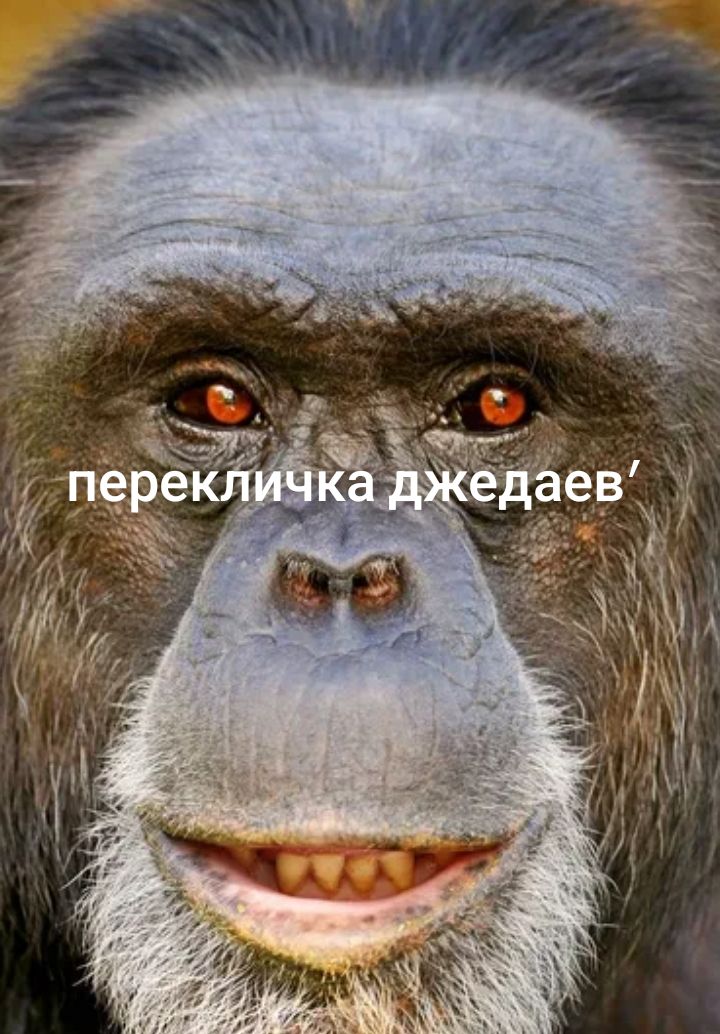 @фенгчик