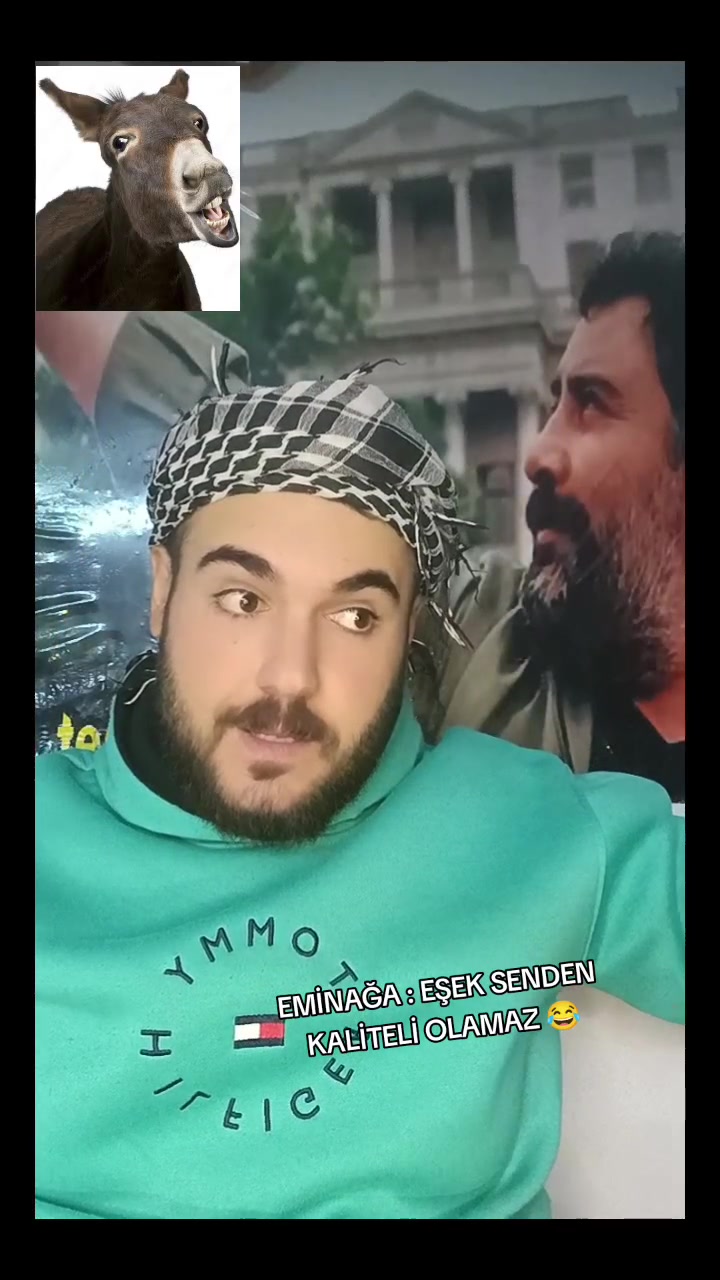 @MEMO 🕊️