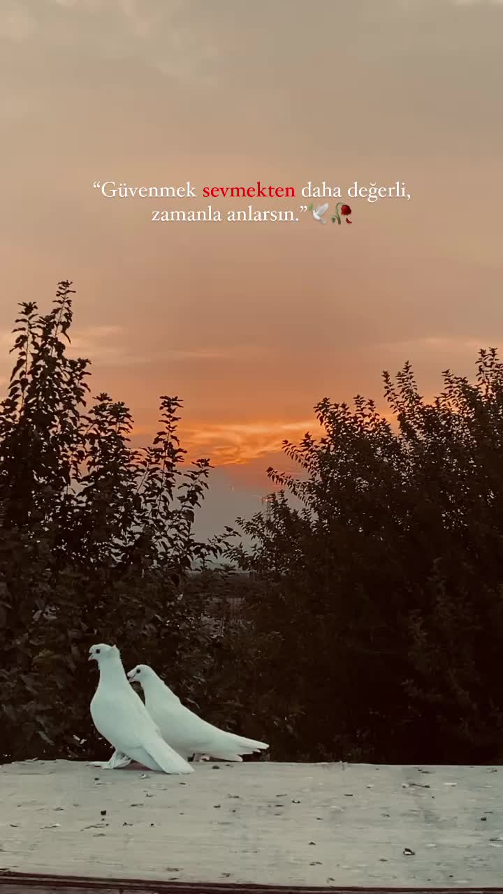 @1ferht_ozbrkk