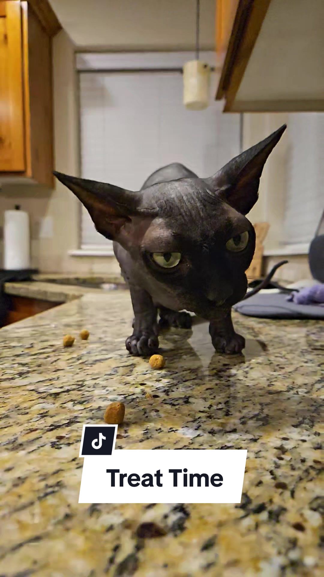 @kyoto.jack.sphynx