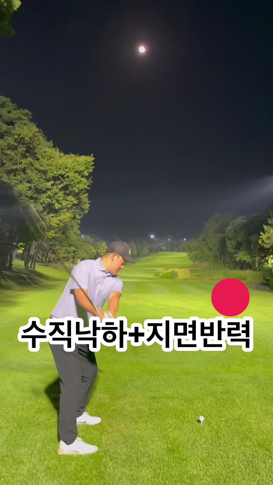 @박찬준프로