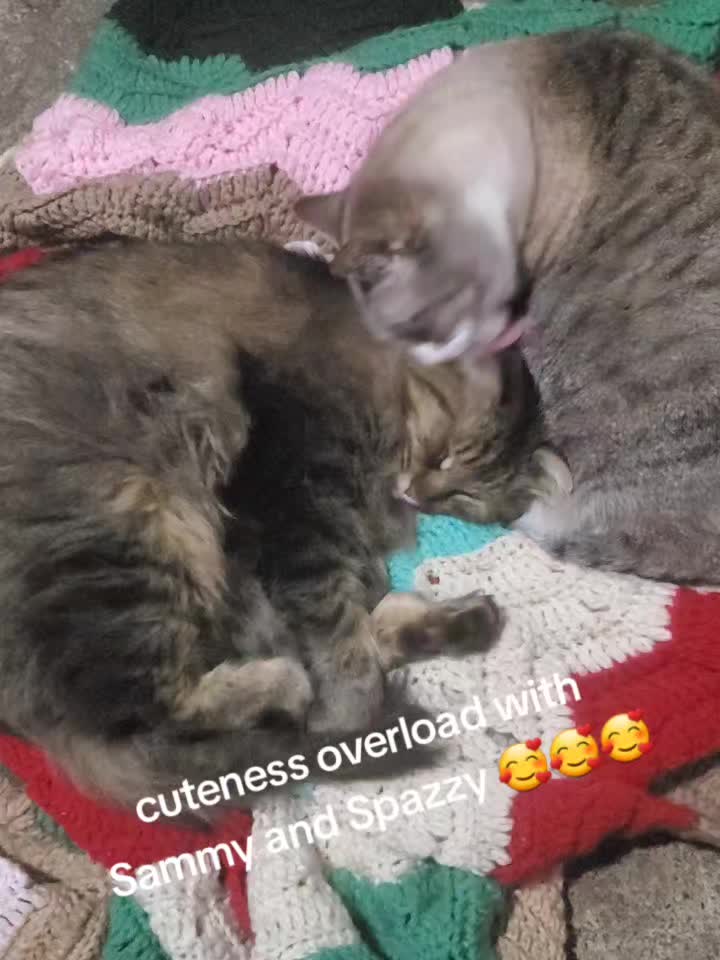 @MomentaryStar