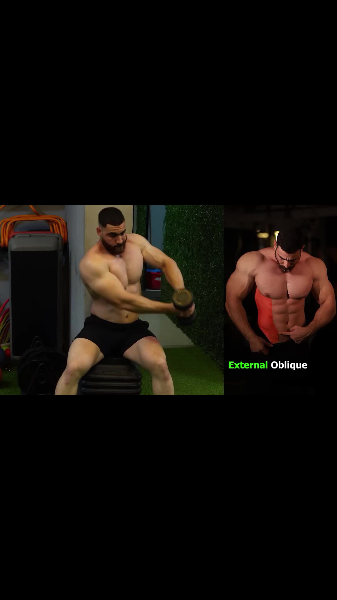 @GymFitnessMode