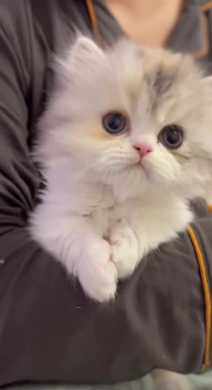 @adriennebaldwin20011