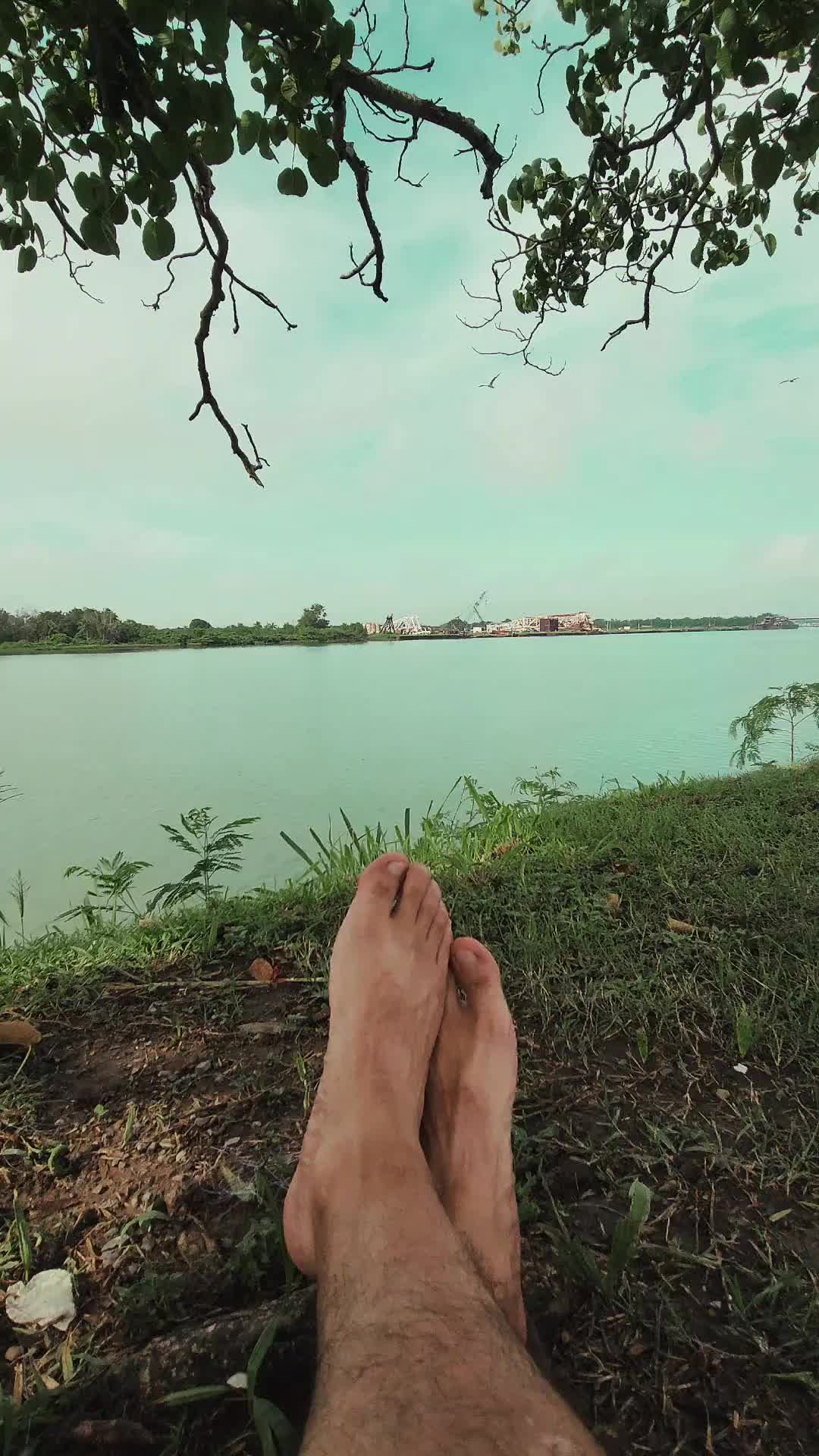 @Martin Ayala