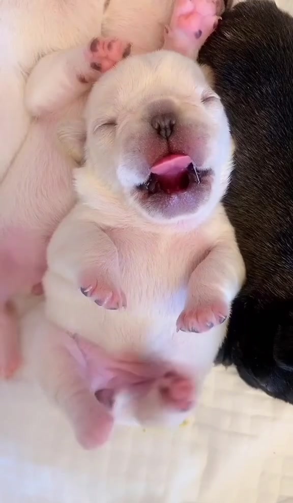 @𝐅𝐫𝐞𝐧𝐜𝐡𝐢𝐞𝐬.𝐛𝐚𝐛𝐲