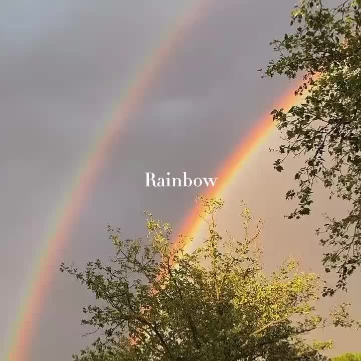 @𝐶om 𝐴mor, 𝑈ma 𝐷oida