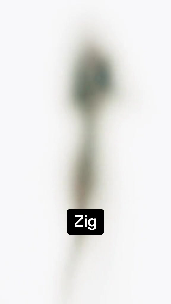 @Poppy - Zig
