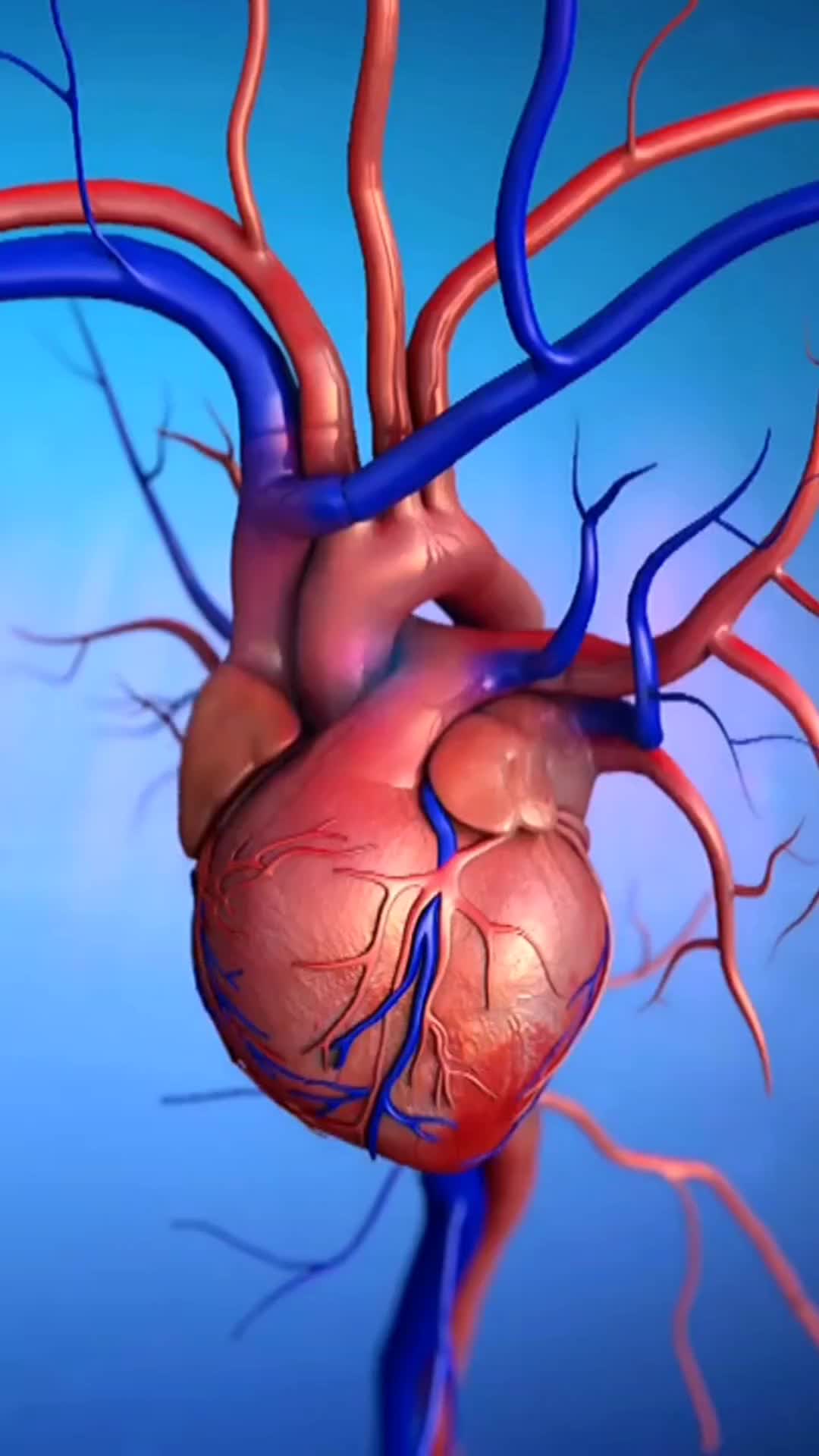@Right Health