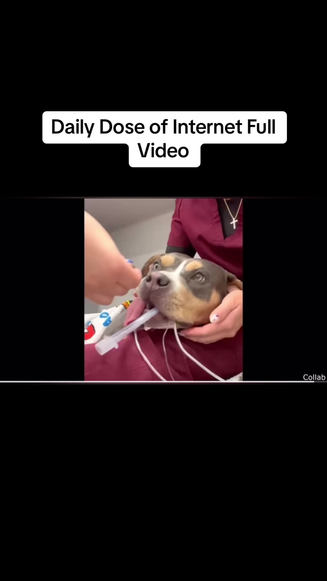 @TheDailyDoseRepost
