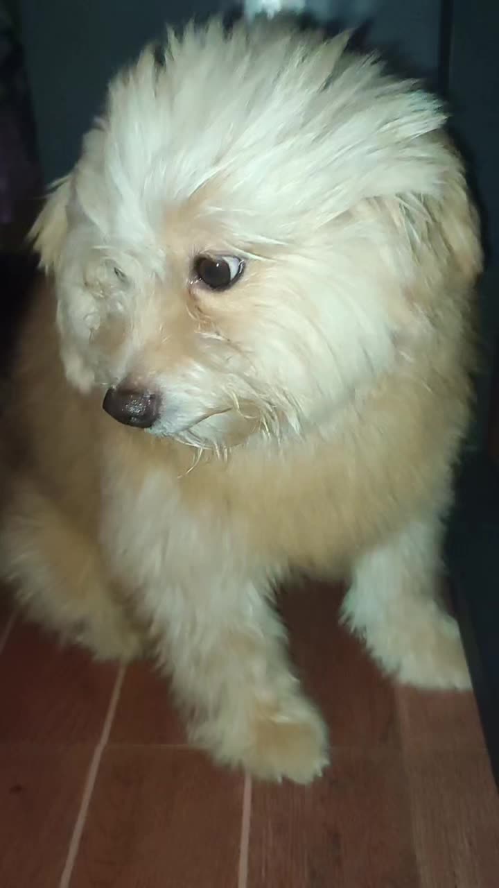 @Furmama