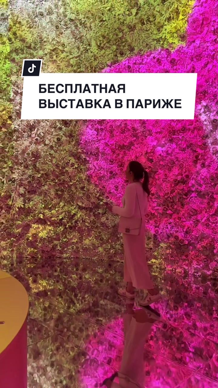 @Франция и французы🇫🇷
