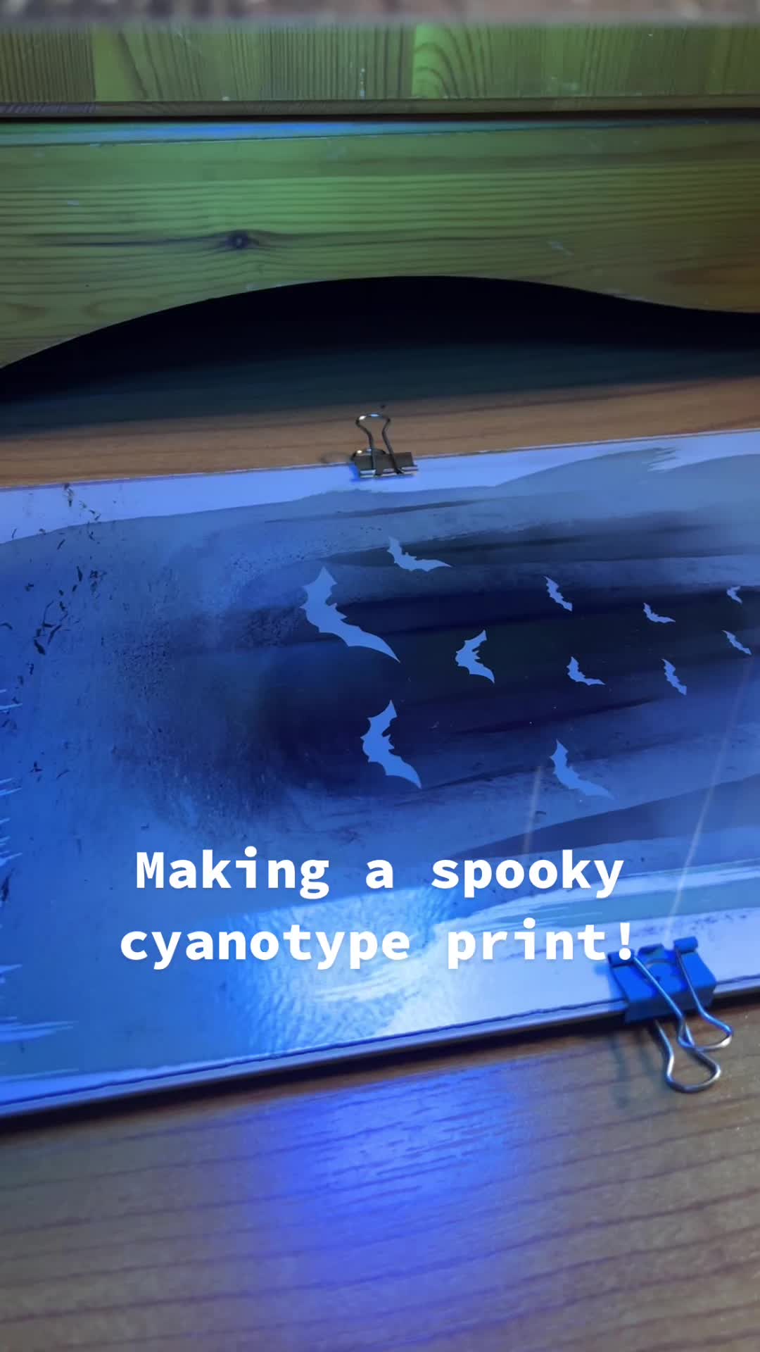 @ObscuraCollective