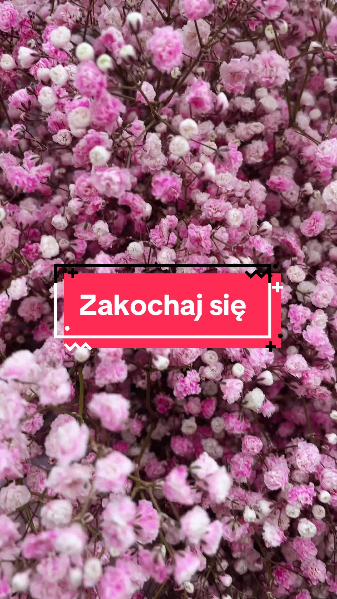 @Fura Kwiat&oacute;w