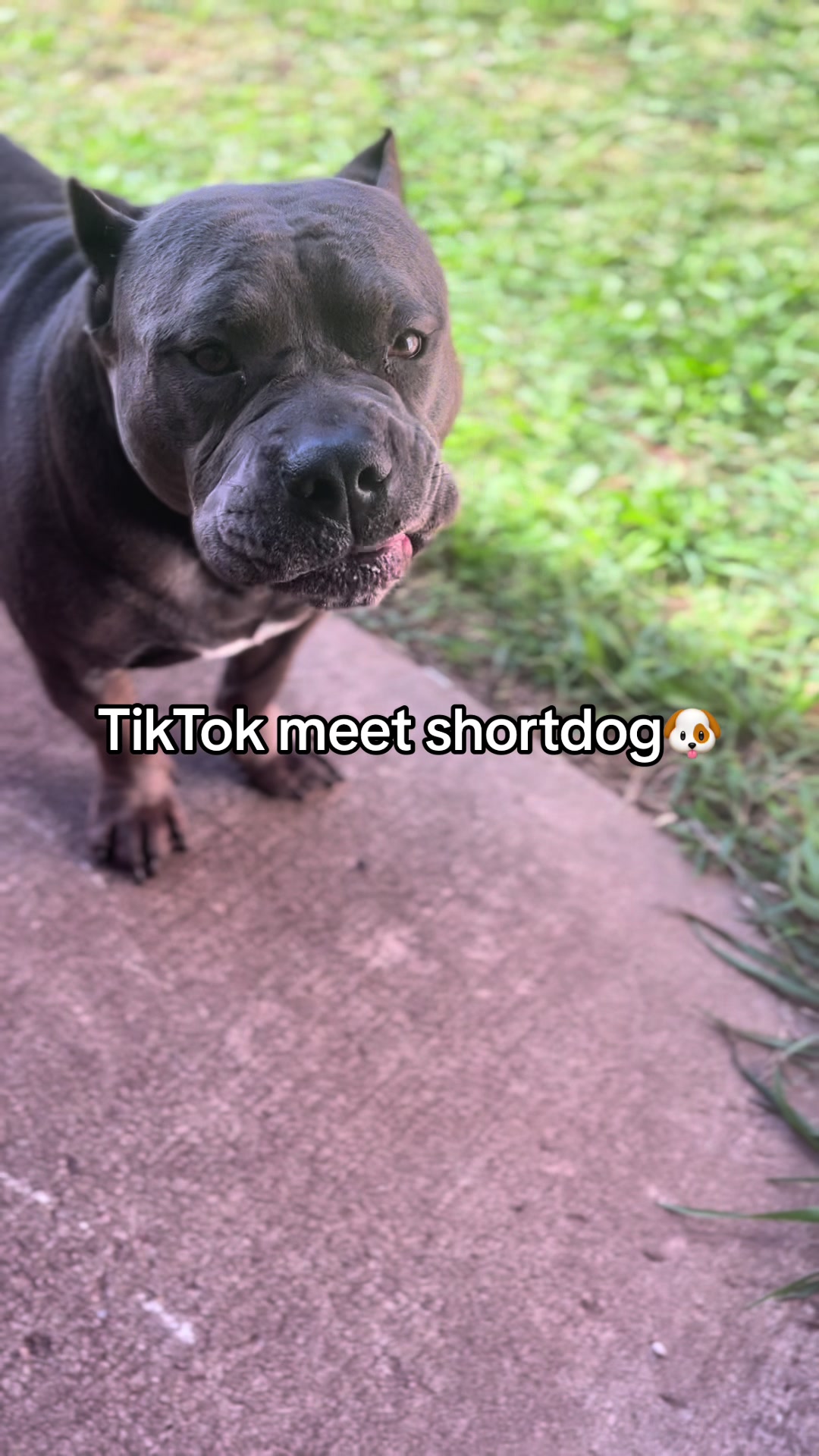 @poohbie2trill&shortdog