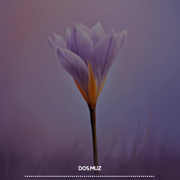 @𝄞𝐌𝐔𝐒𝐈𝐂𝄞