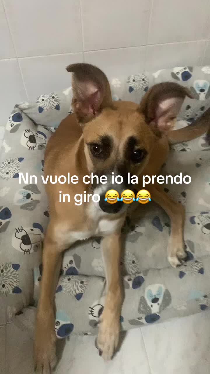 @Cristina Grazioli