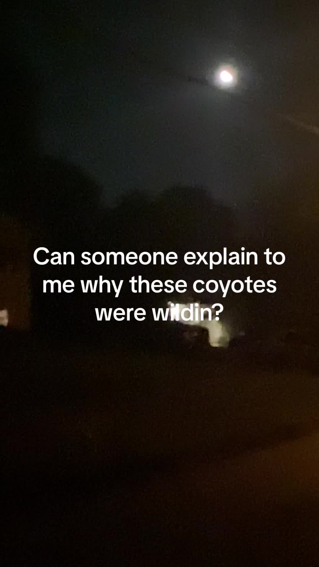@Brimaine