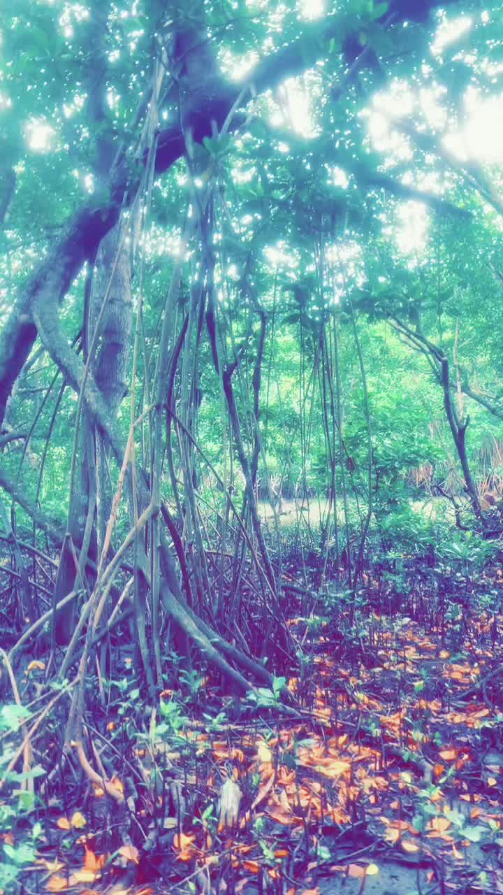 @YAHLY