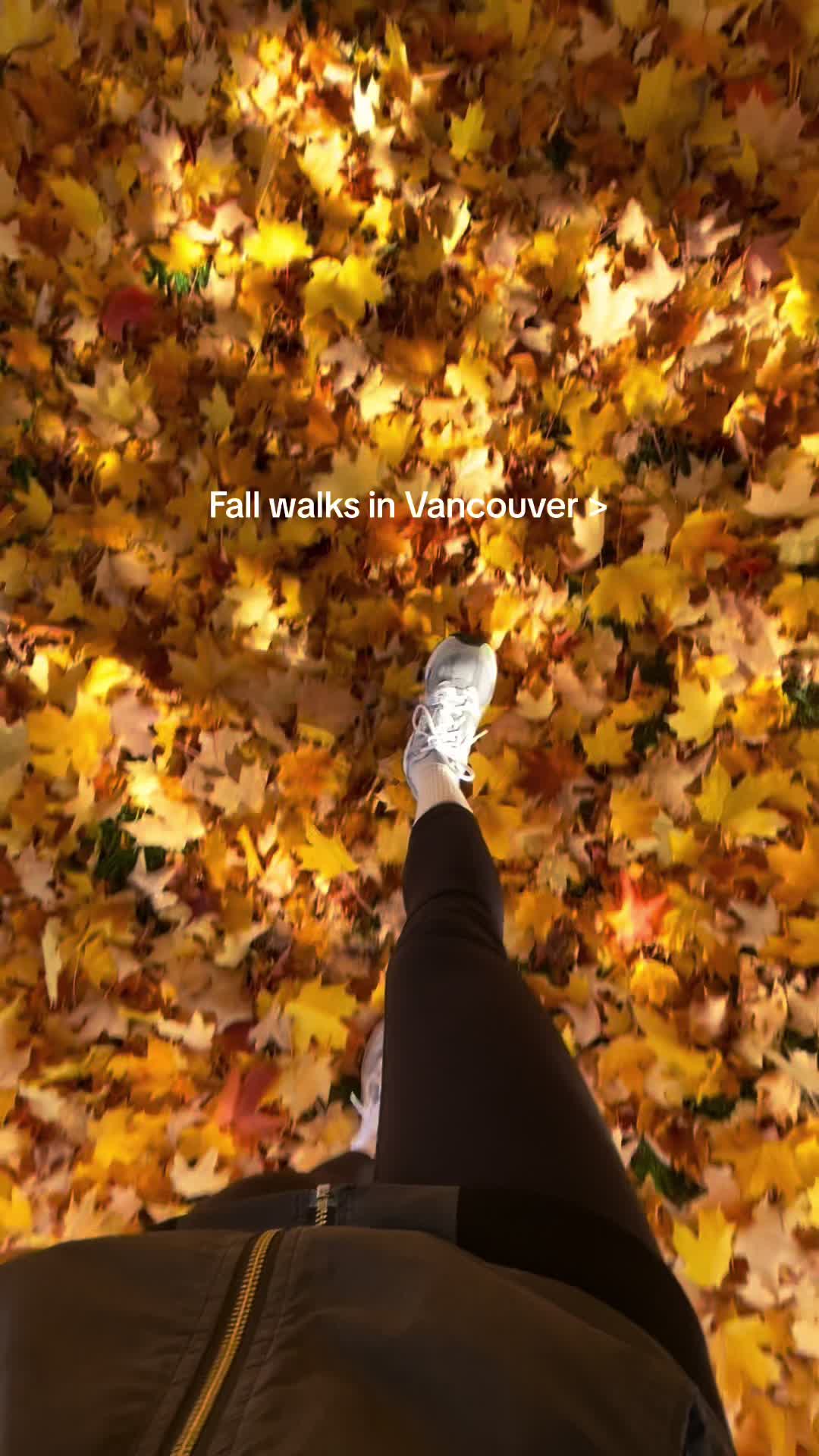 @vancouver604guide