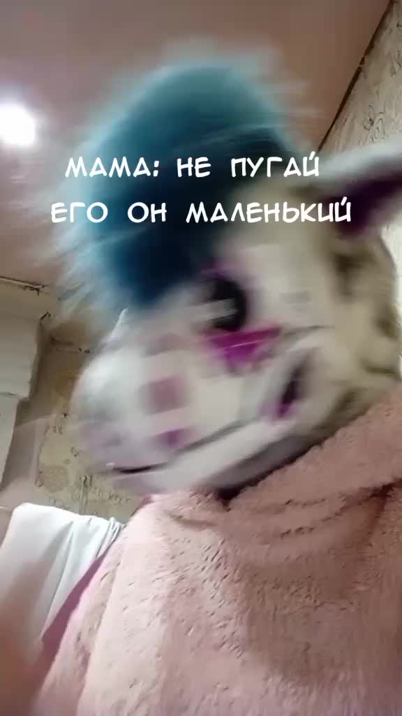 @Цукико