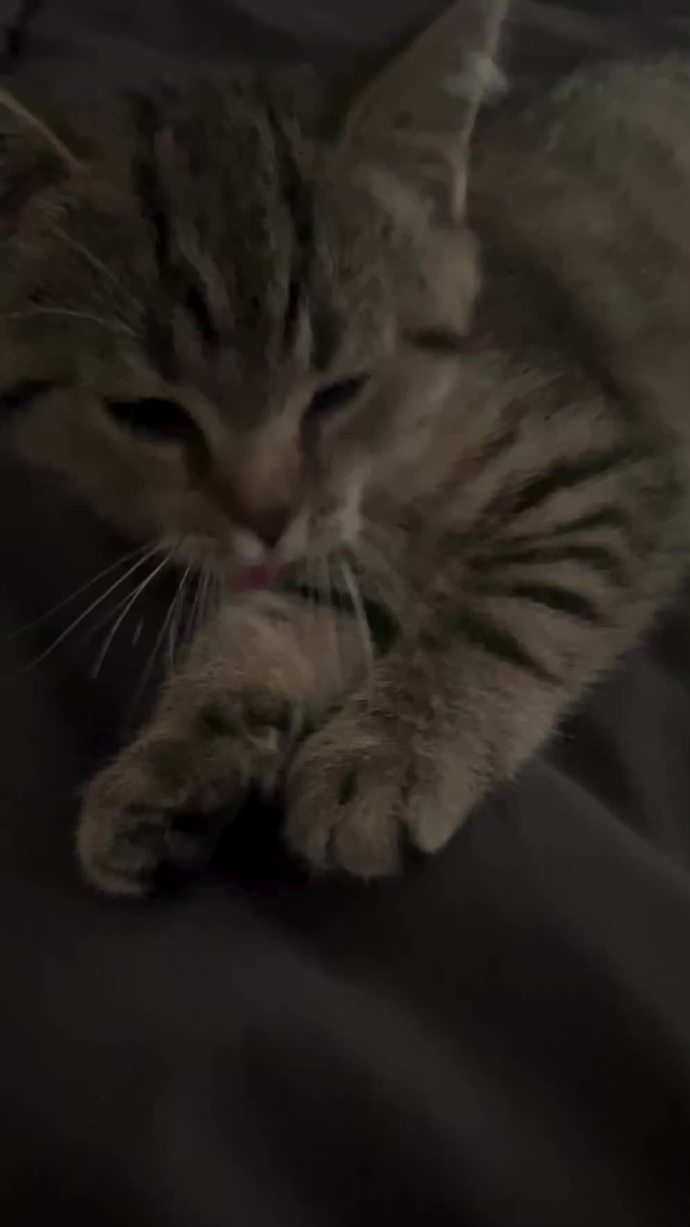 @︀