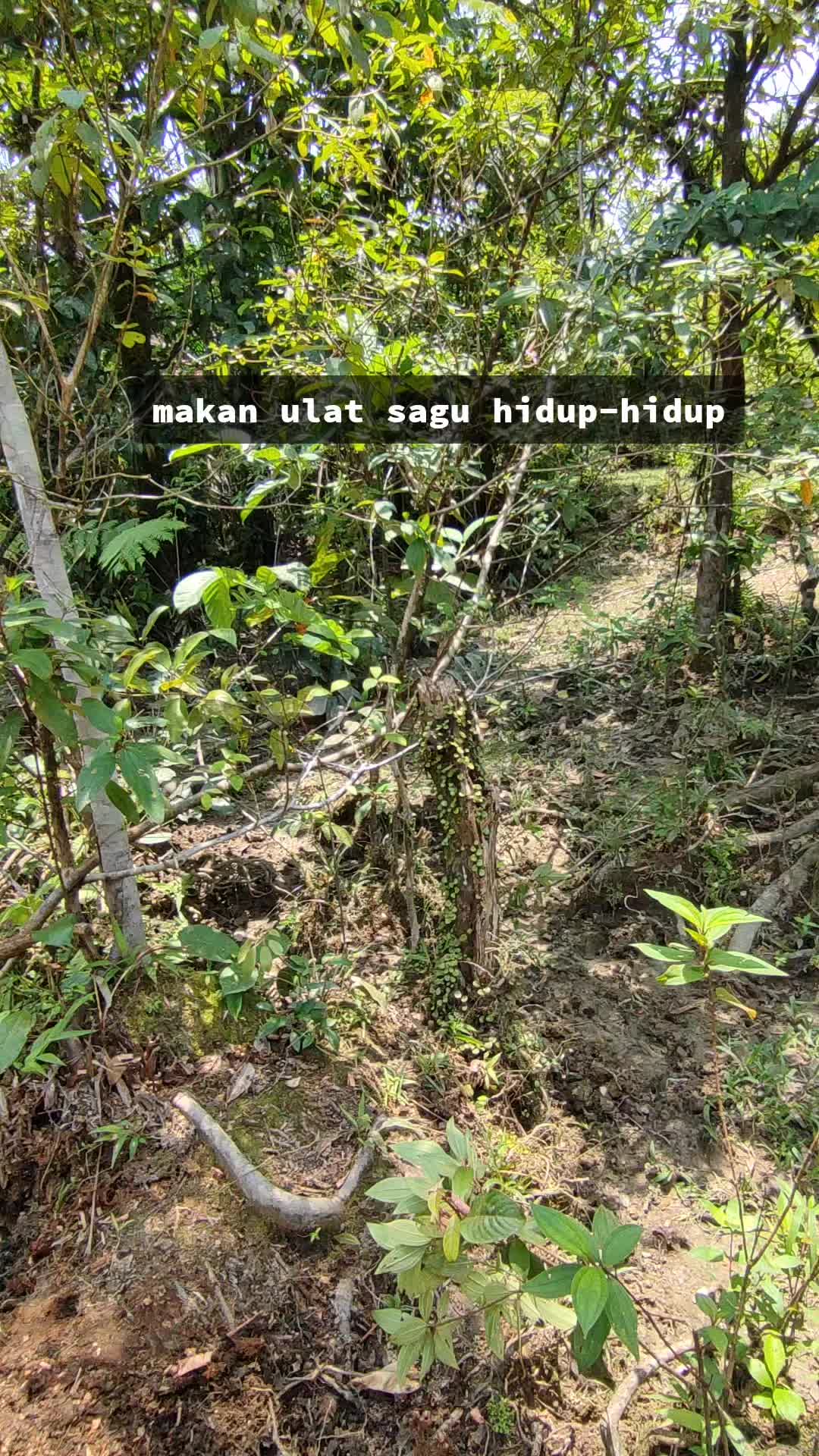 @Uluikunz