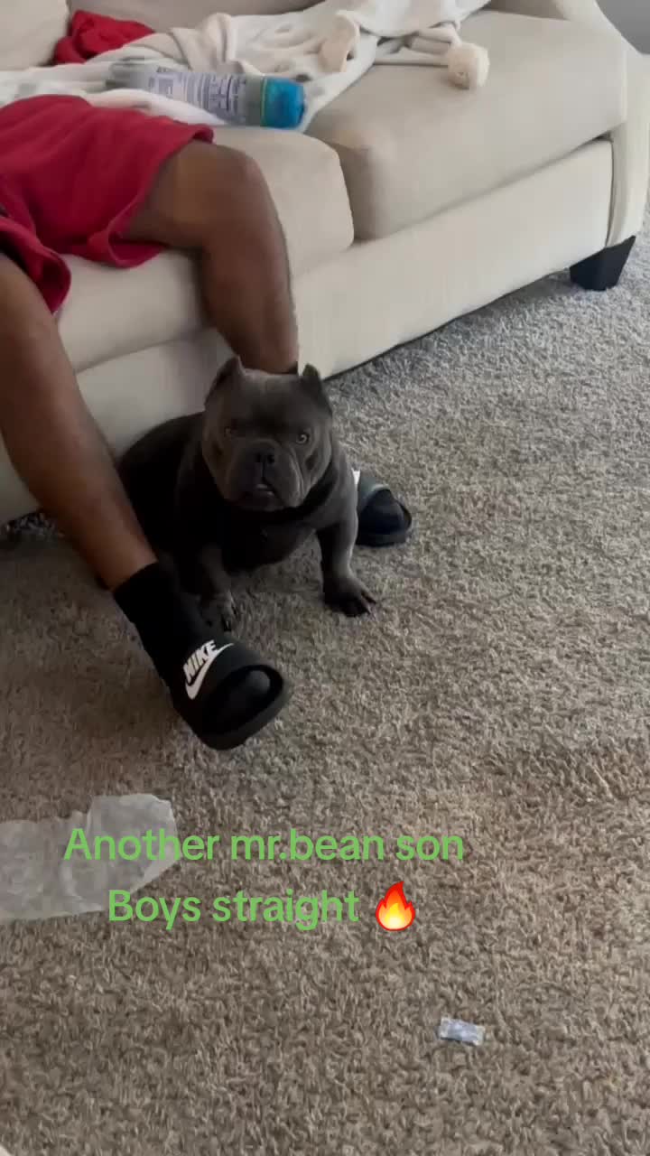 @Crookedcitykennel