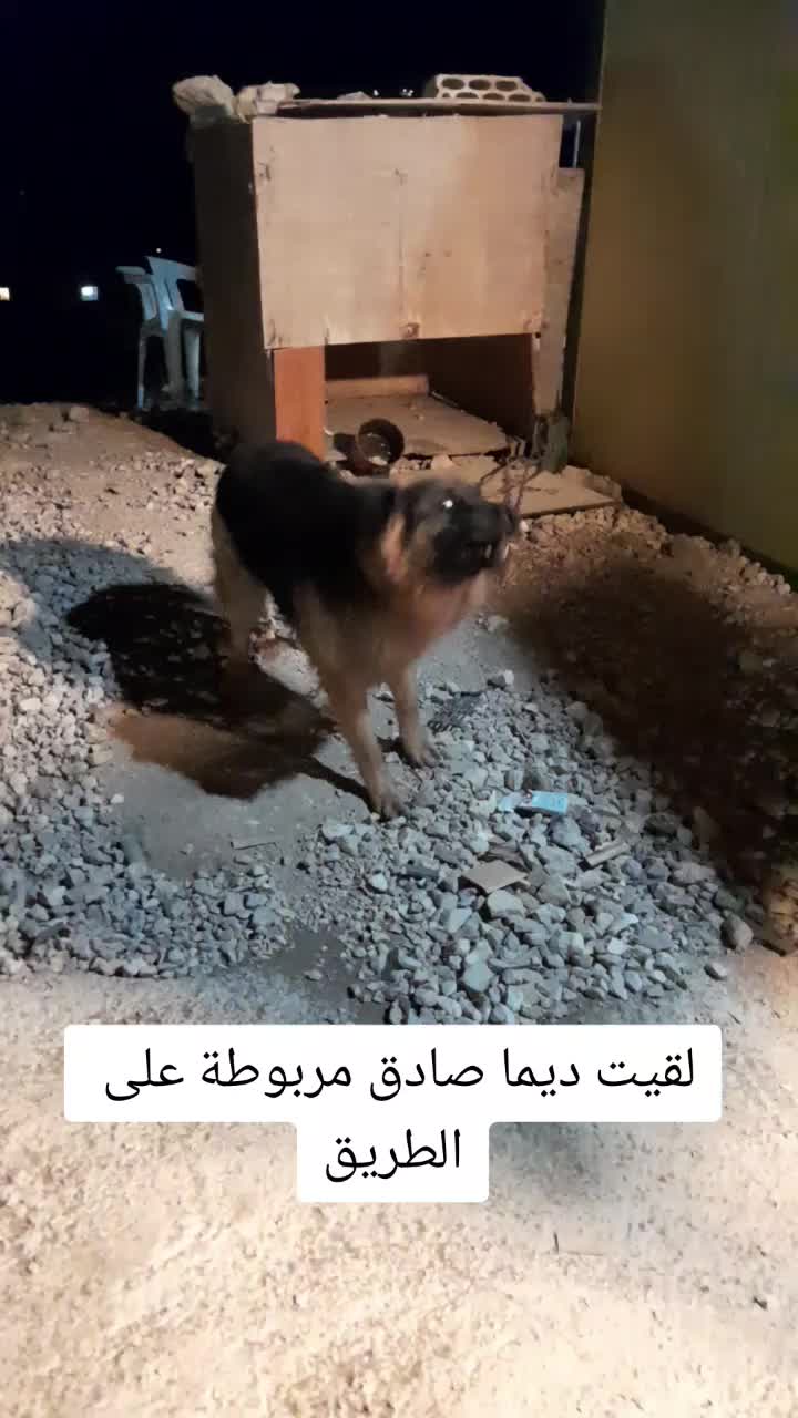 @Nour khalil