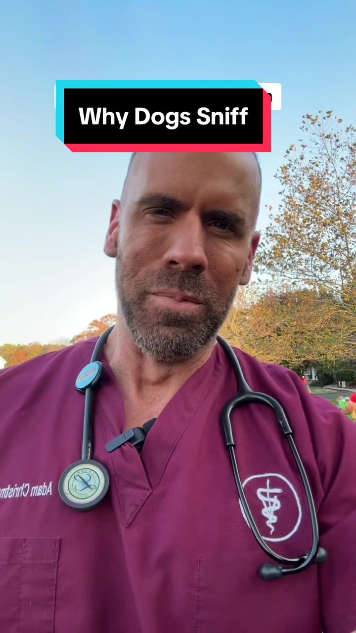 @dr.adam_christman_Veterinarian