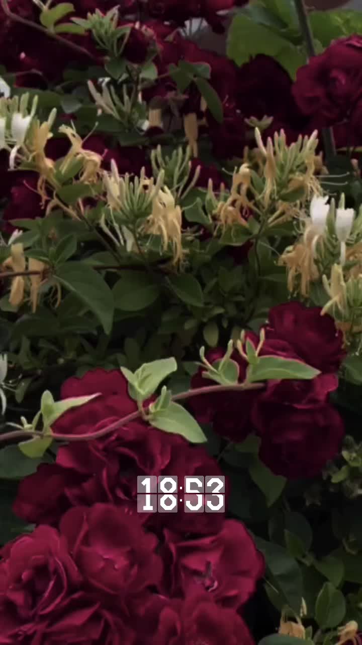 @لحضه وداع