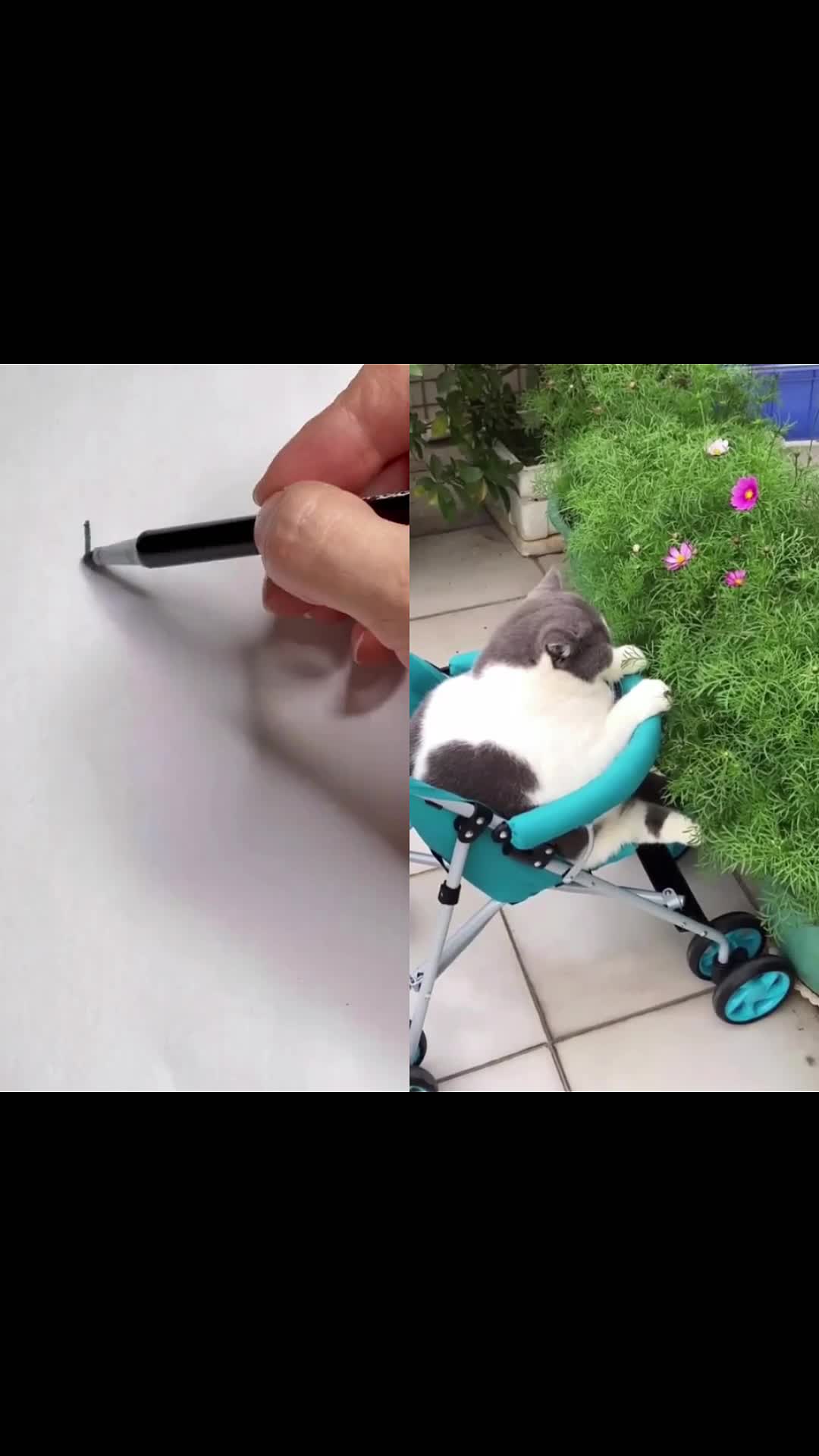 @maxgrg