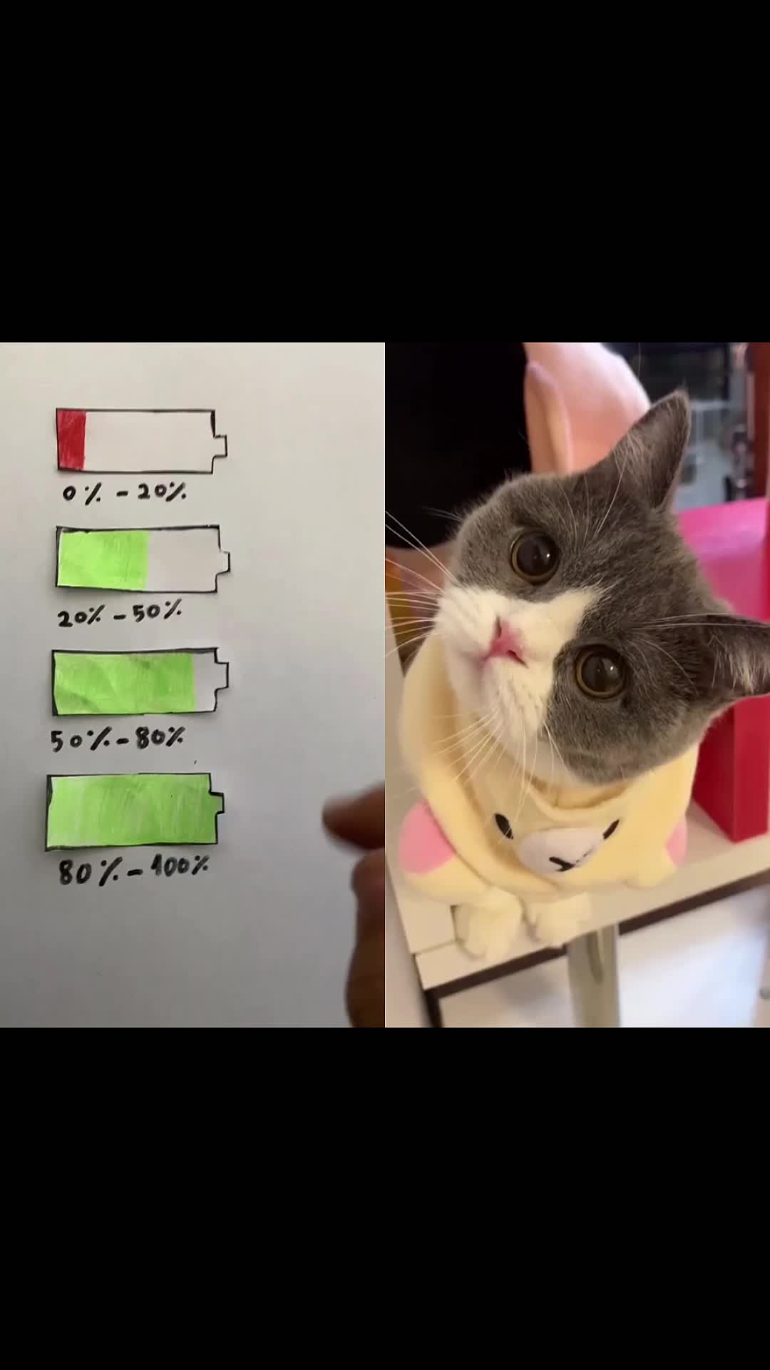 @MAX354655