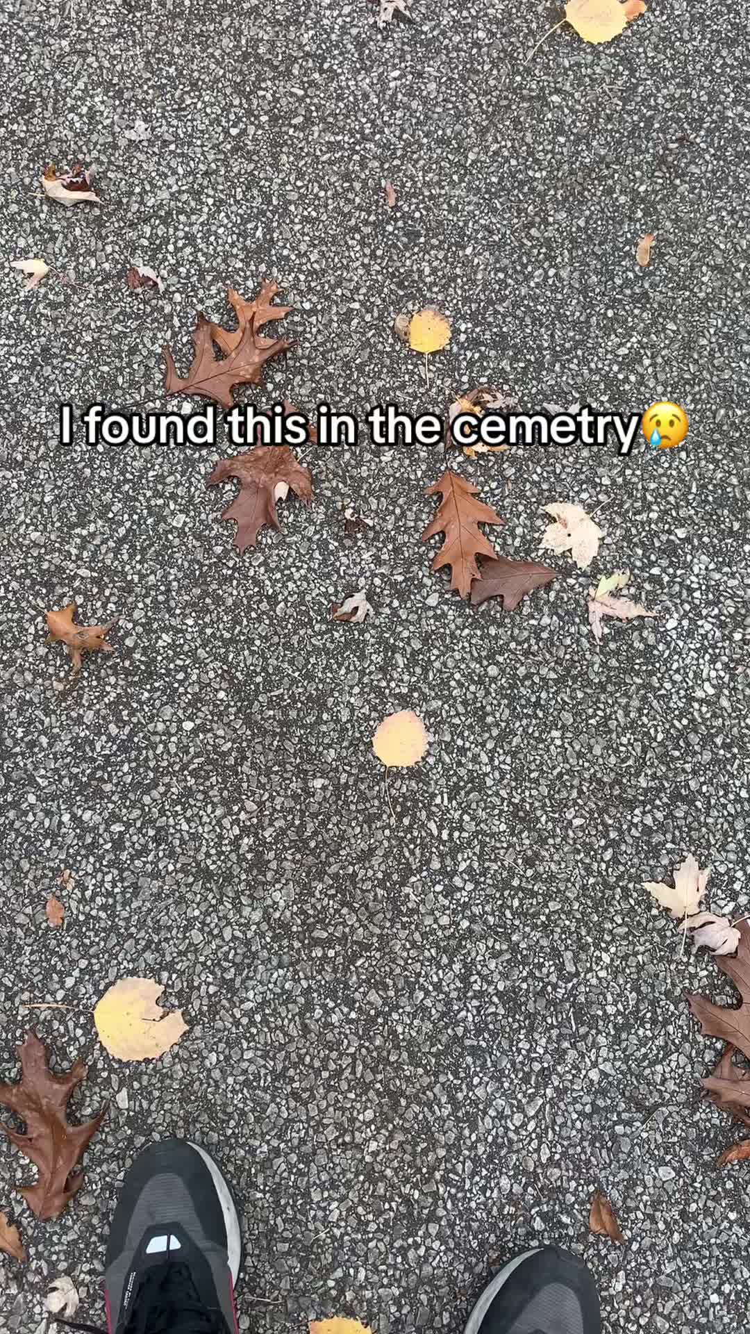 @ShareTurningHearts