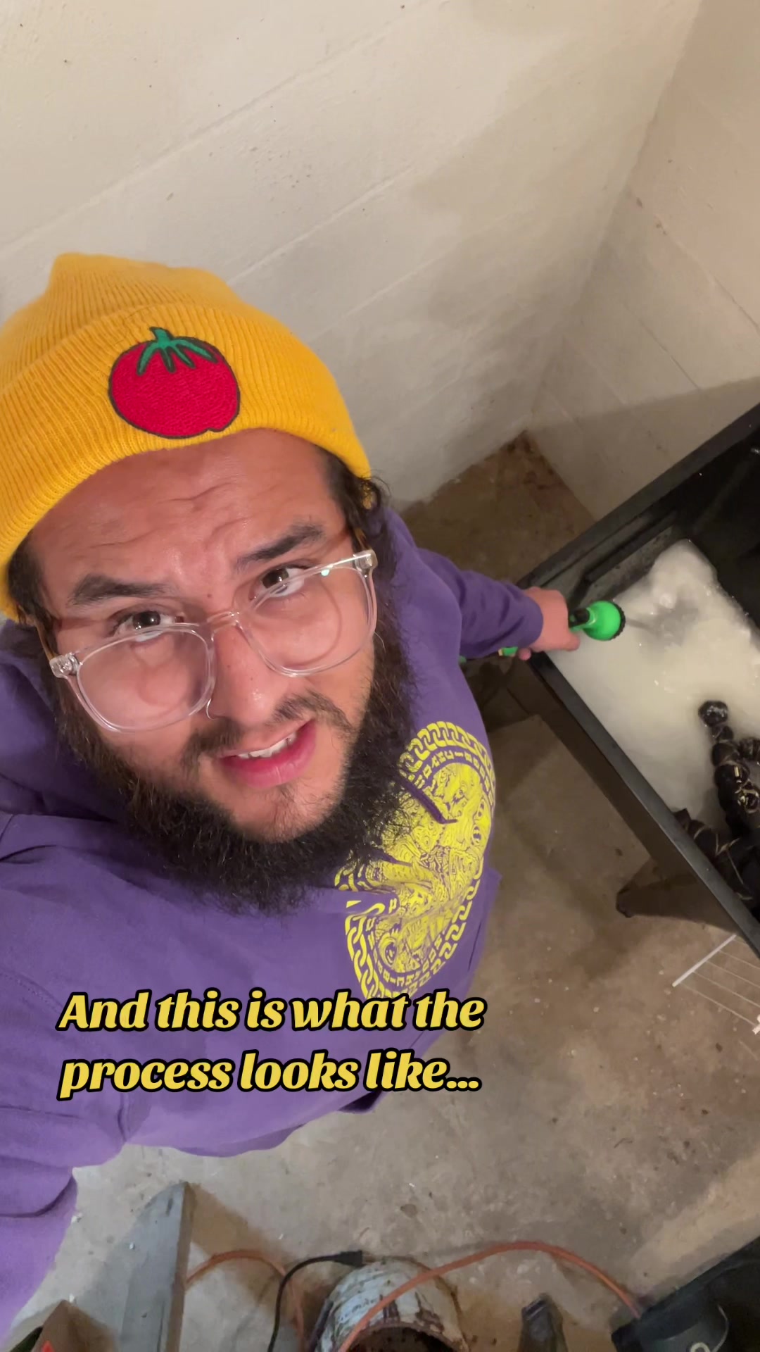 @Mauri