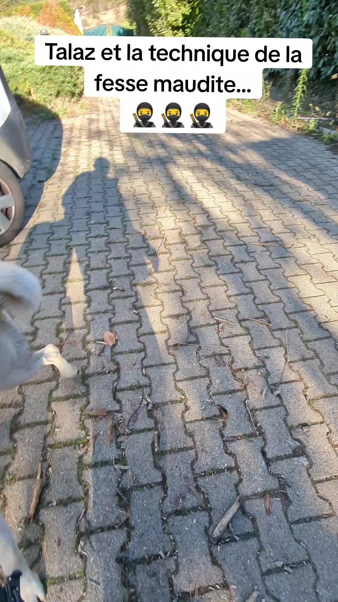 @Purekangal