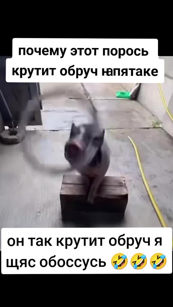@HHsn
