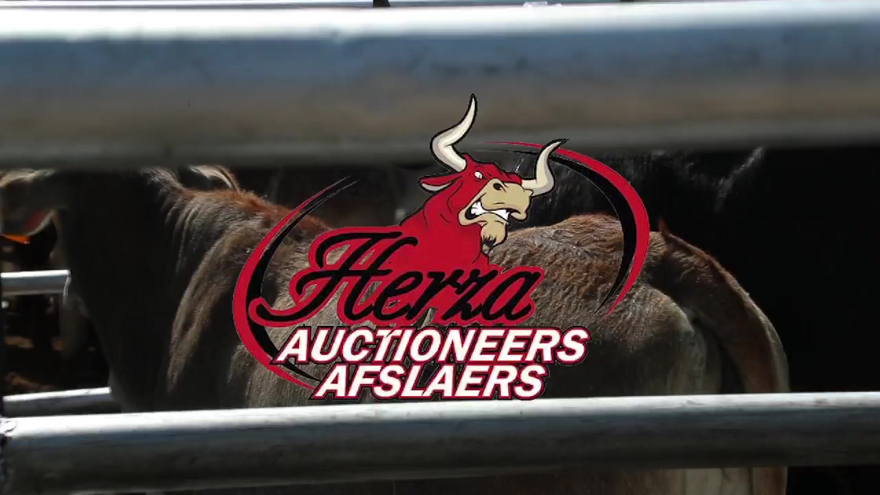 @Herza Auctioneers/Afslaers