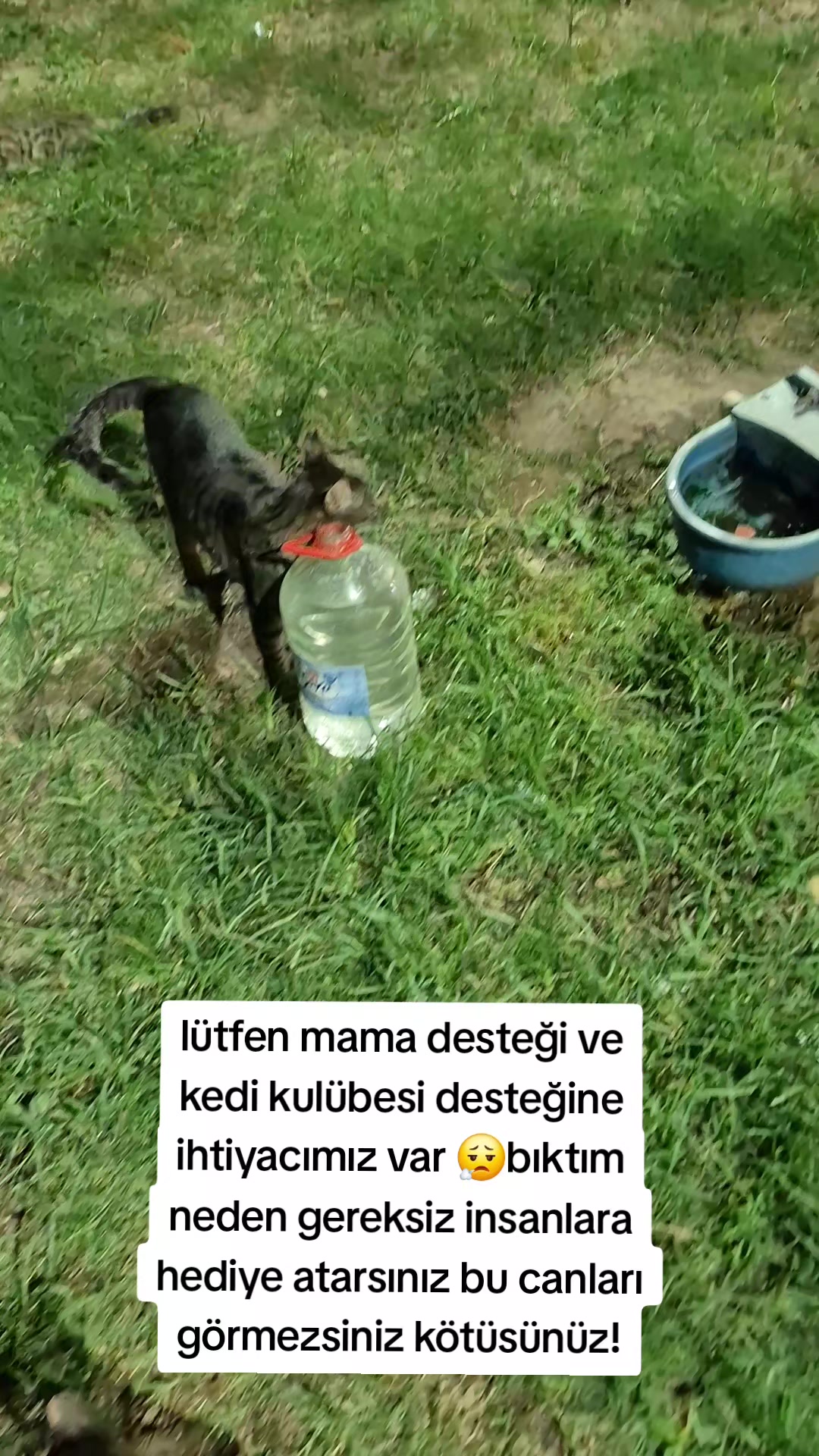 @HAYCAN MEDYA 🌐✔️