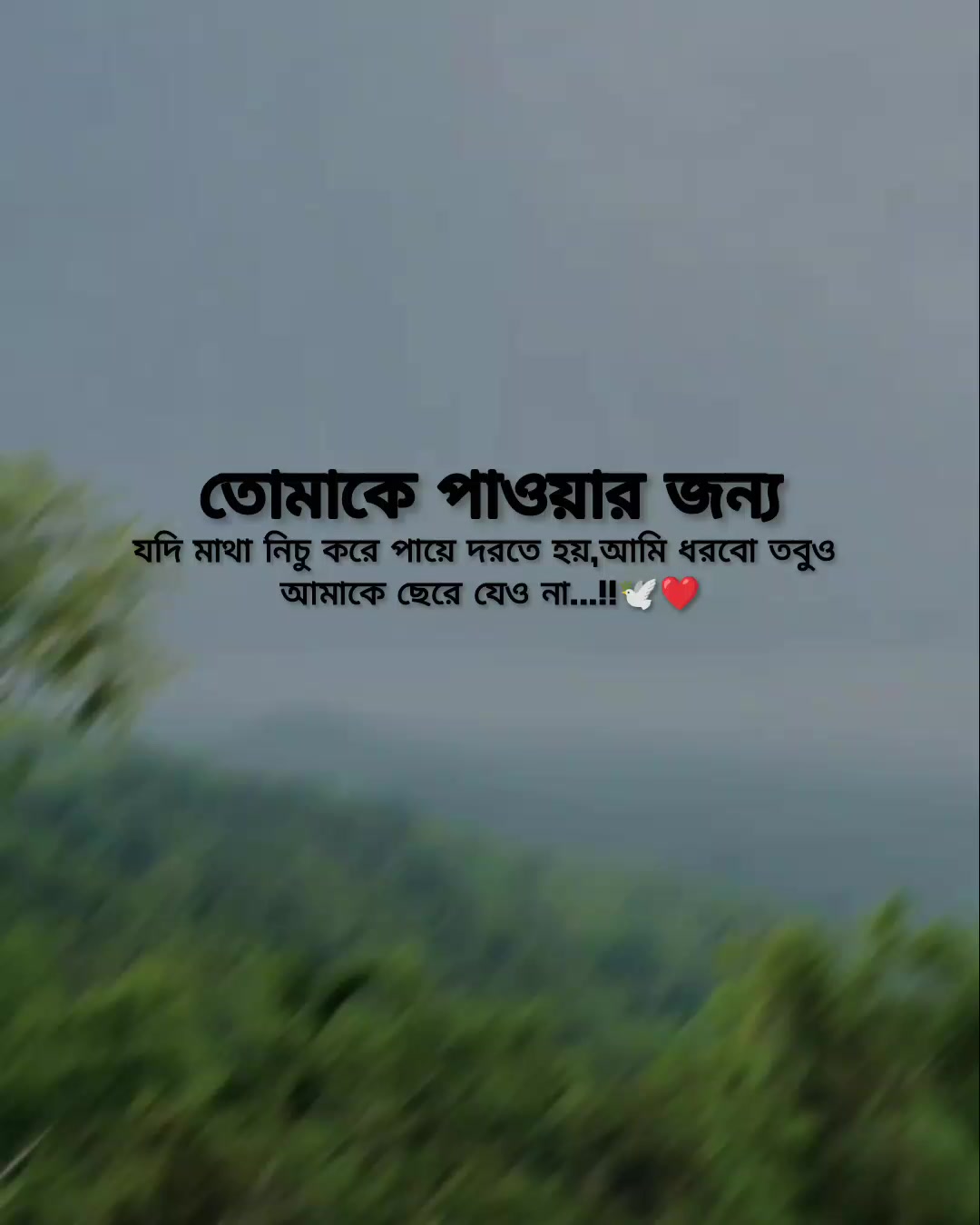 @Rakib Khan