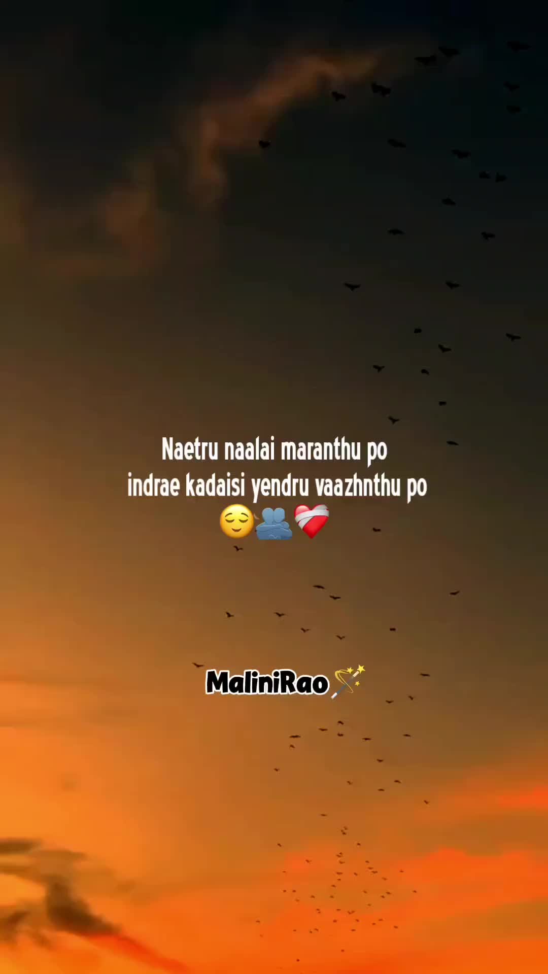 @MaliniRao🌙