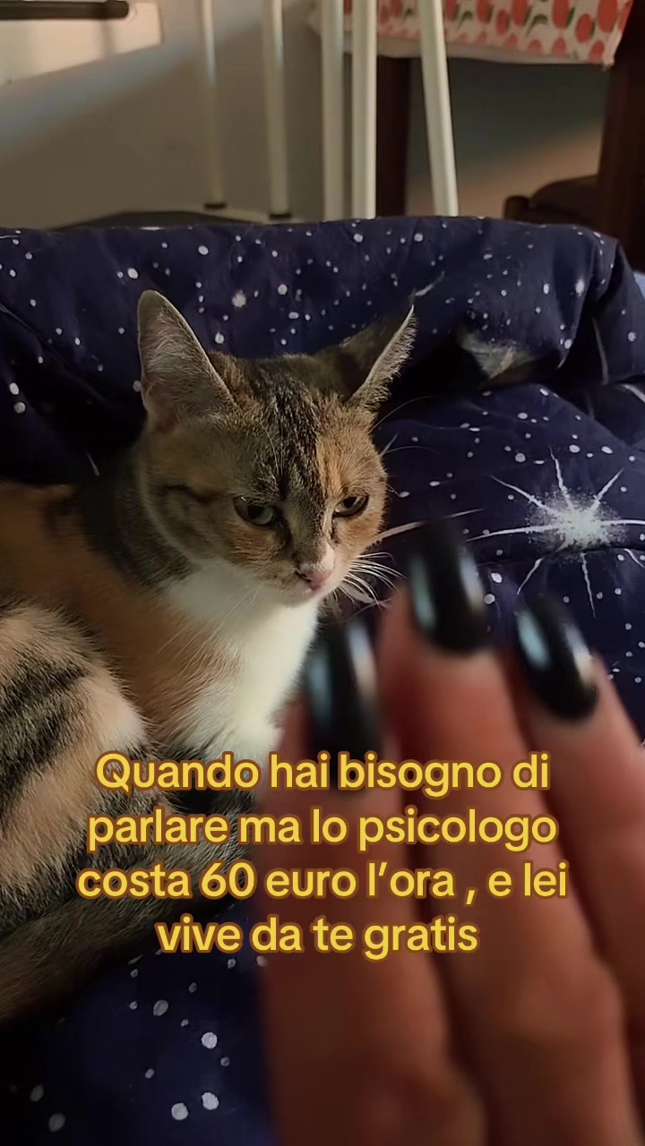 @zenika72