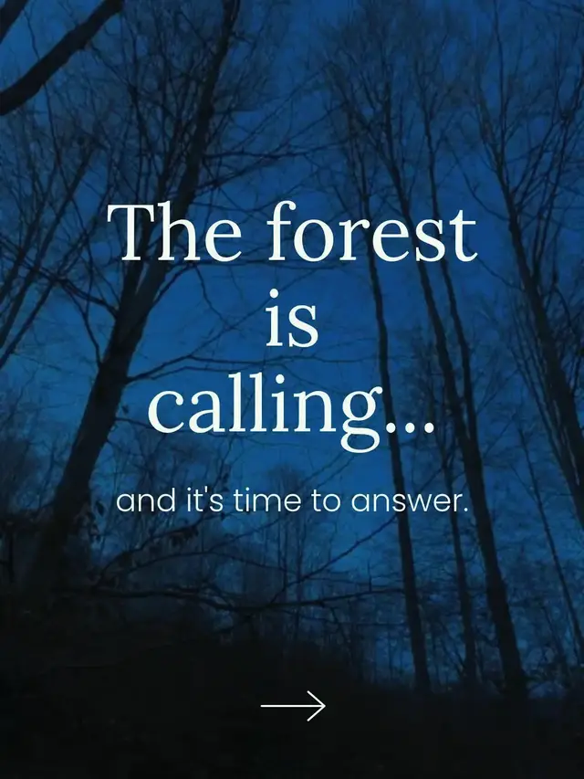 @4KNature