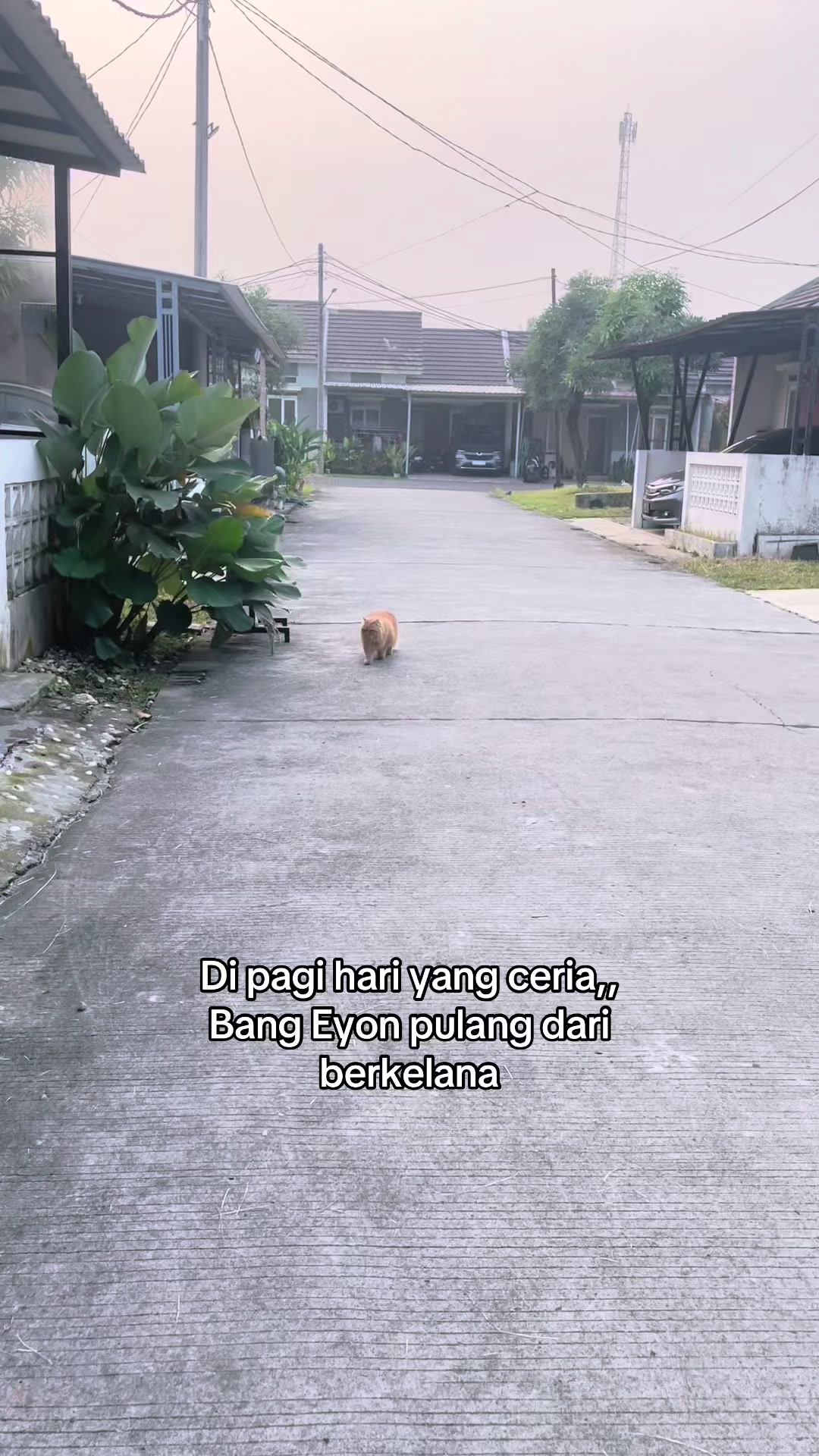 @Mommy, Eyon & Oyenz
