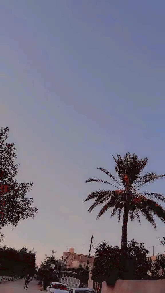 @بحر الشوگ