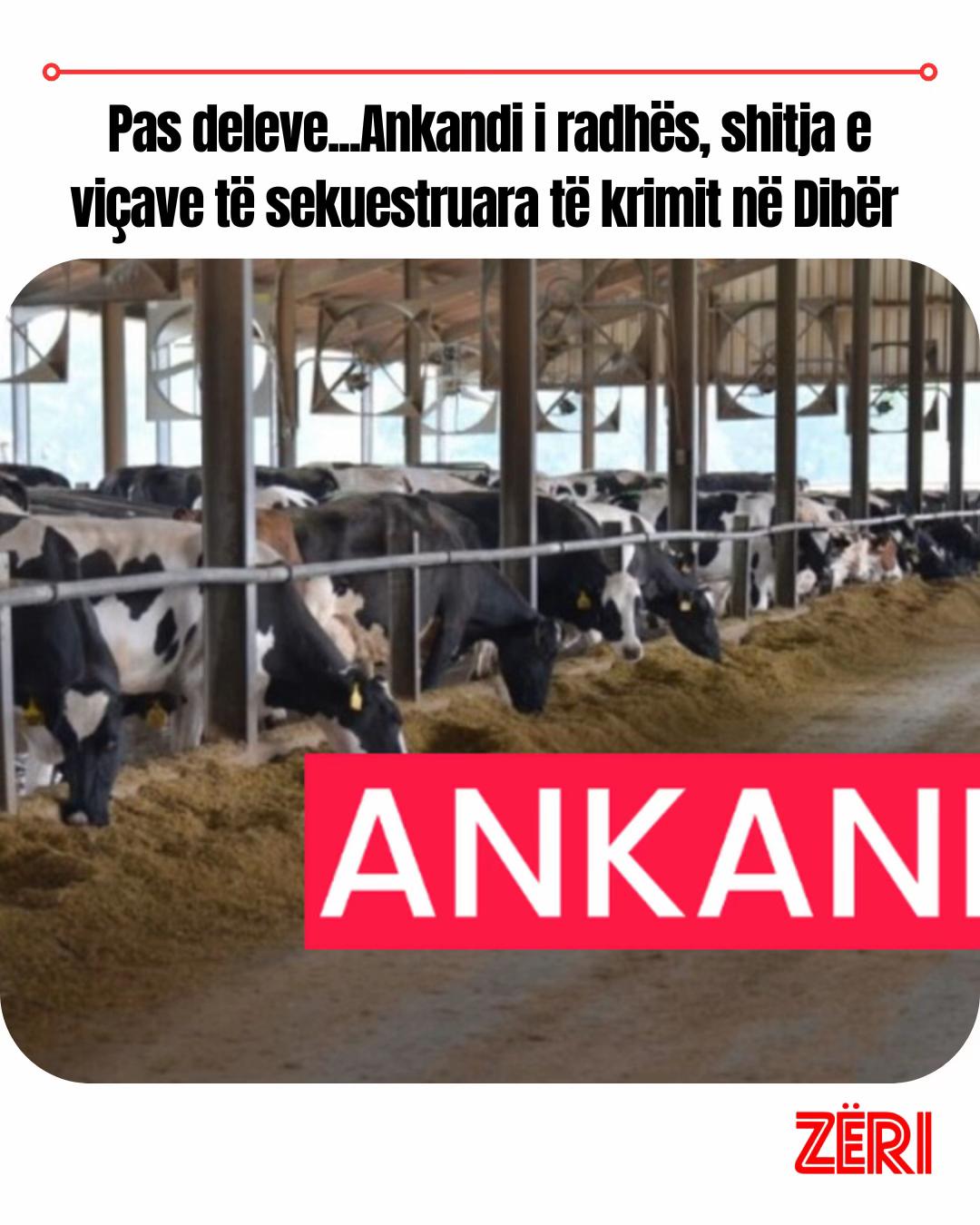 @Z&Euml;RI