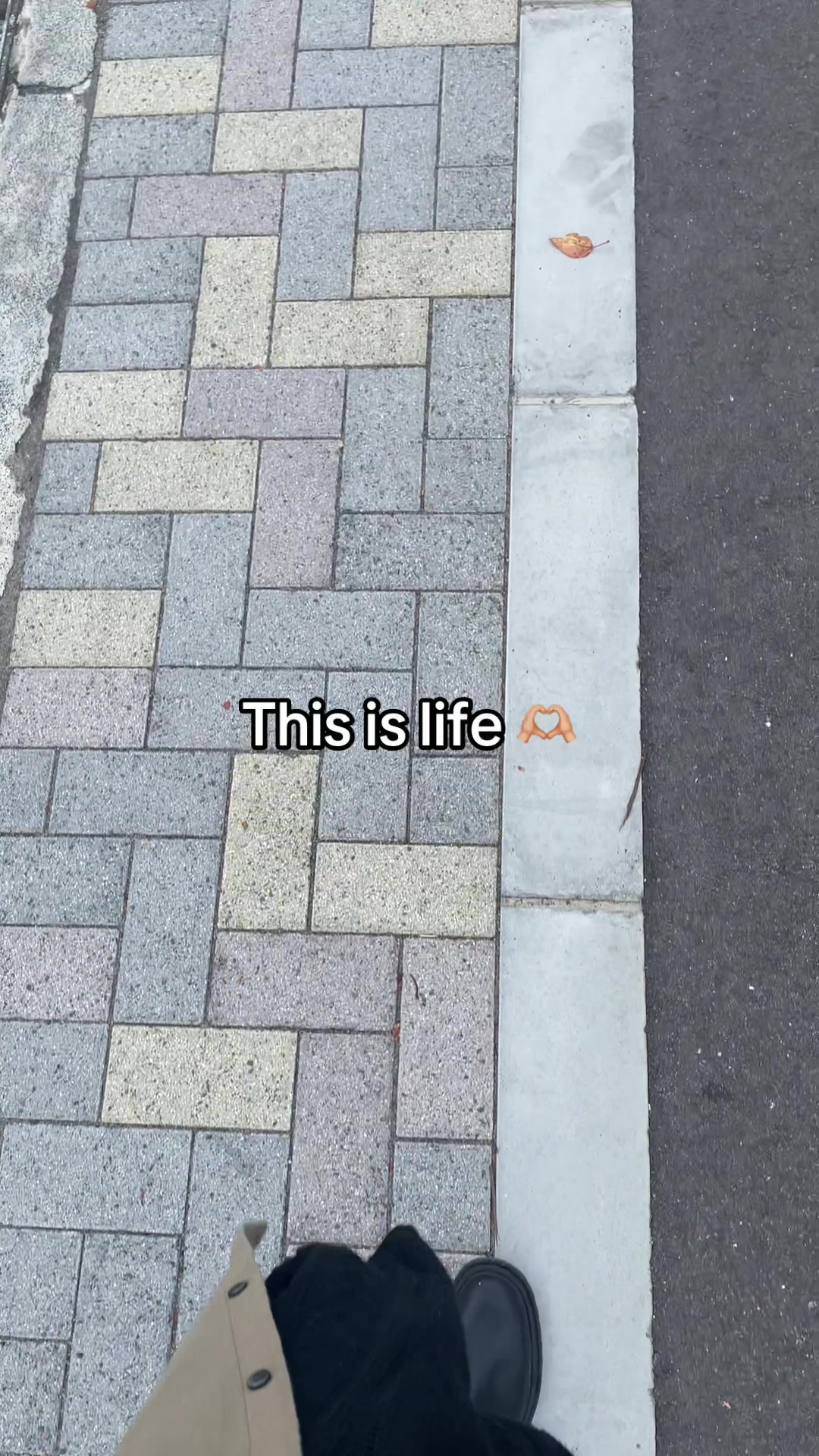 @J in Japan 🇯🇵🇿🇦